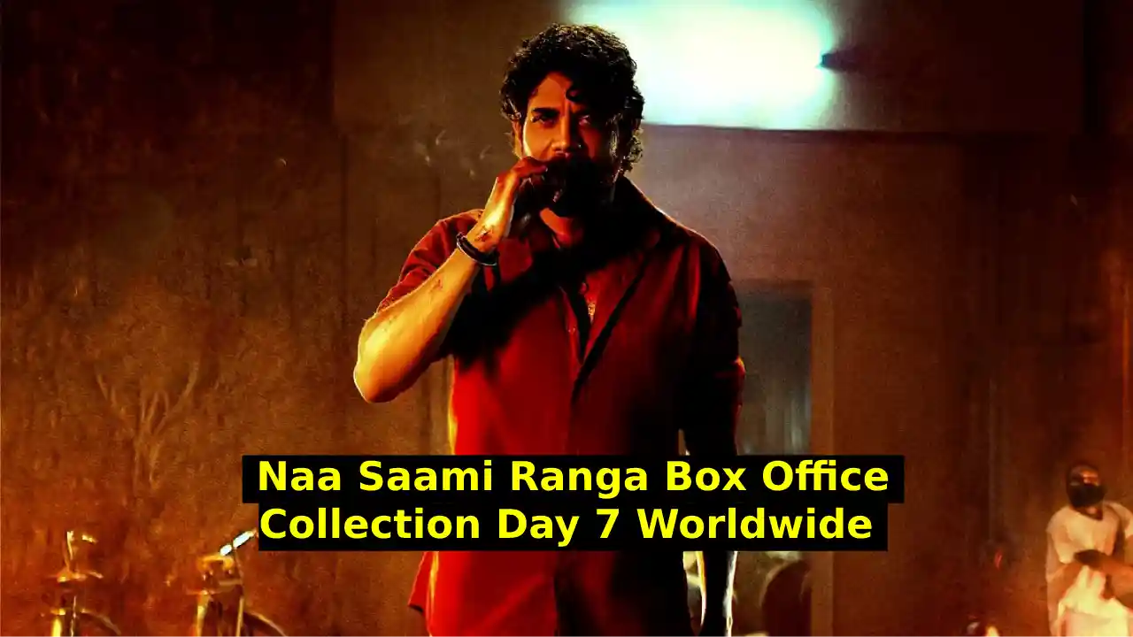 Naa Saami Ranga Box Office Collection Day 7 Worldwide