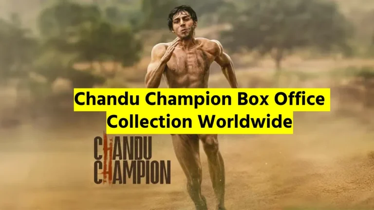 Chandu Champion Box Office Collection Worldwide & Budget